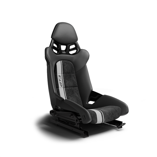 Carbon Fiber Bucket Seat Side Badge (GT3)